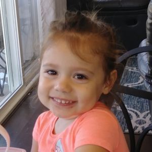 Meet your Posher, Roy